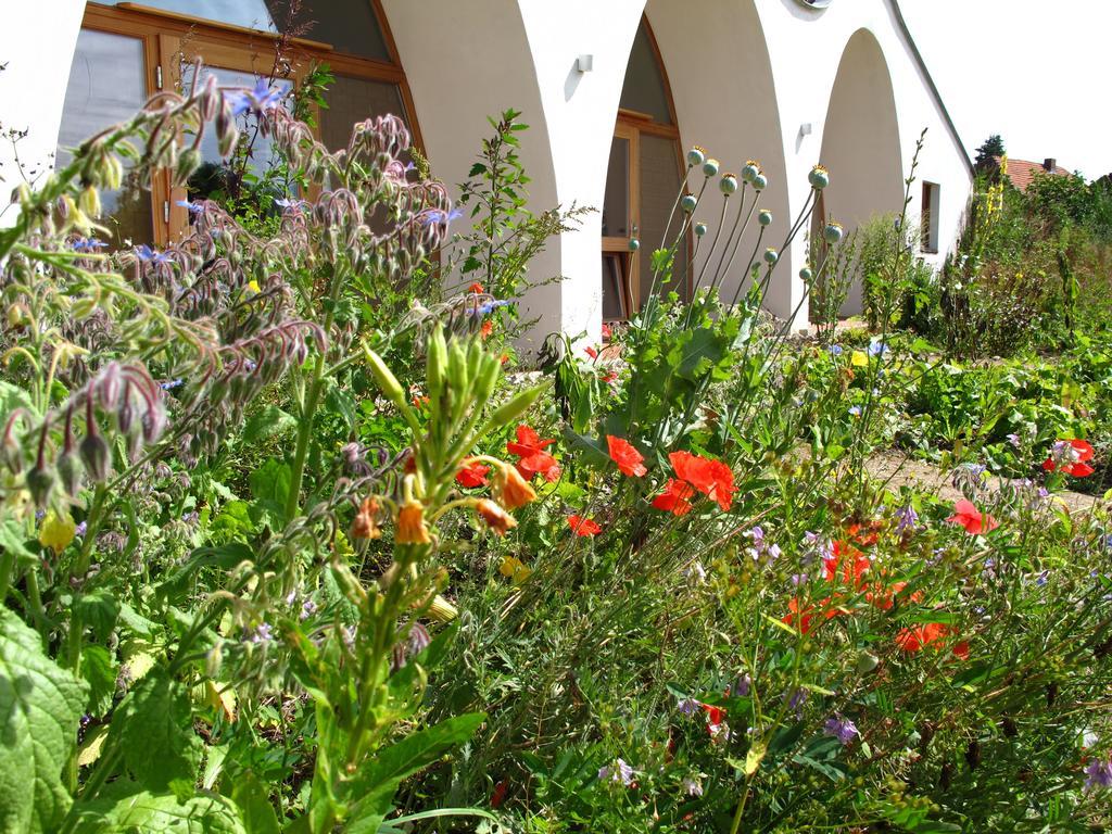 Gaestehaus Am Wangeliner Garten Exterior photo